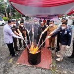 BNNP Sulut Musnahkan Ratusan Gram Ganja dari Sumatera, Ciduk Satu Tersangka, Kejar Target Utama